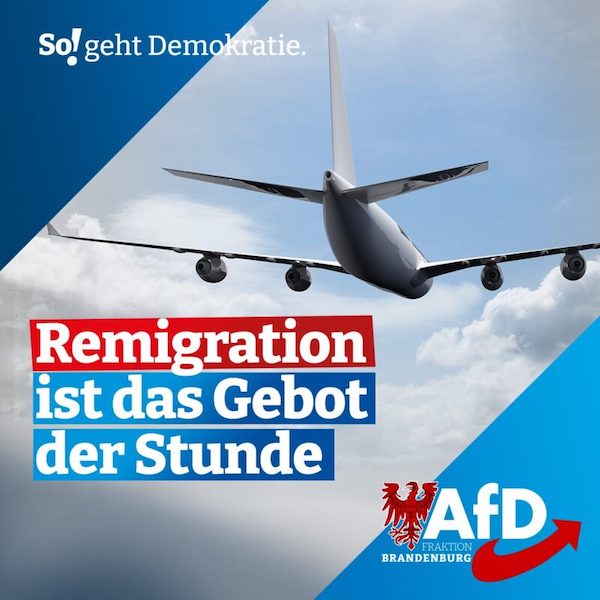 Un volantino dell'AfD che propaganda la "remigrazione" degli stranieri